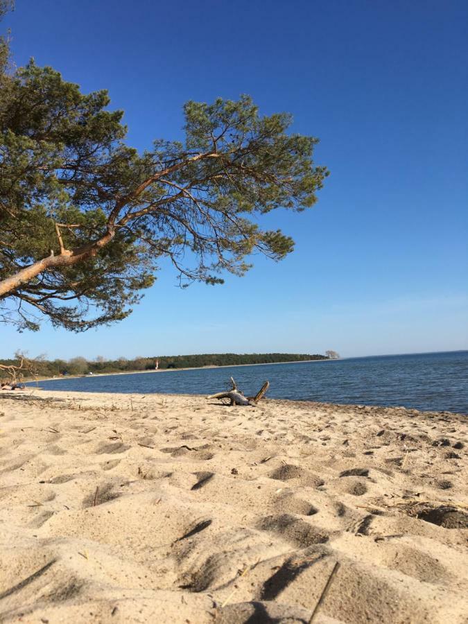 Ferienhaus Anker Villa Zudar Bagian luar foto